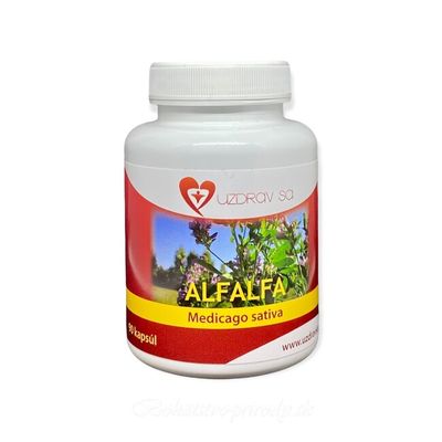 Alfalfa - lucerna 90 cps